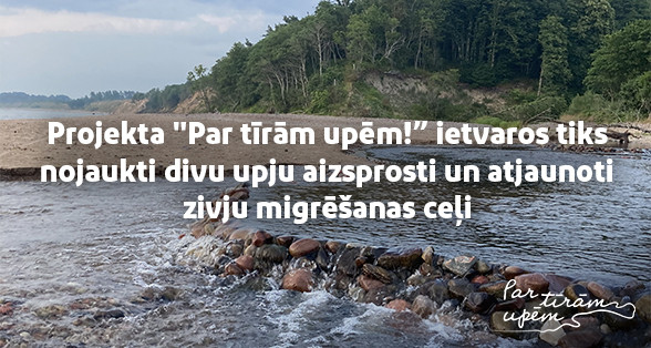 Atbalstot Zemes stundas aicinājumu, projekta “Par tīrām upēm!” ietvaros tiks  nojaukti divu upju aizsprosti un atjaunoti zivju migrēšanas ceļi